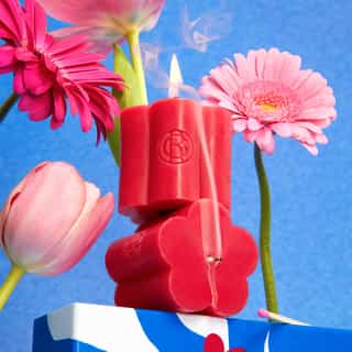 Fleur de Figuier Geschenkset Duftwasser 100ml + Kerze
