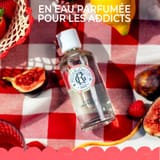 Fleur de Figuier Wohlfühl-Körpermilch