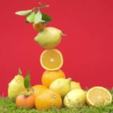 Bois d'Orange  Wohlfühl Handcreme