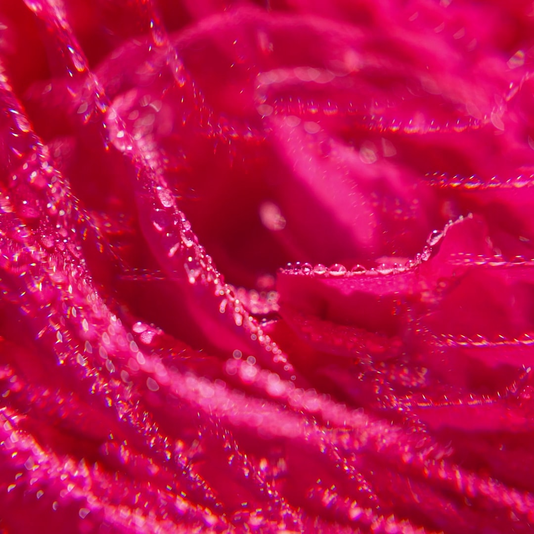 Rose Duftendes Wohlfühl-Wasser