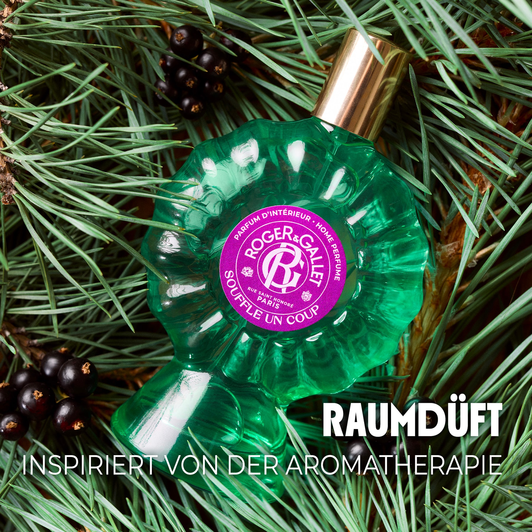 Souffle un coup Raumduft
