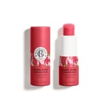 Gingembre Rouge Sublimating Lip Balm