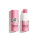 Rose Sublimating Lip Balm